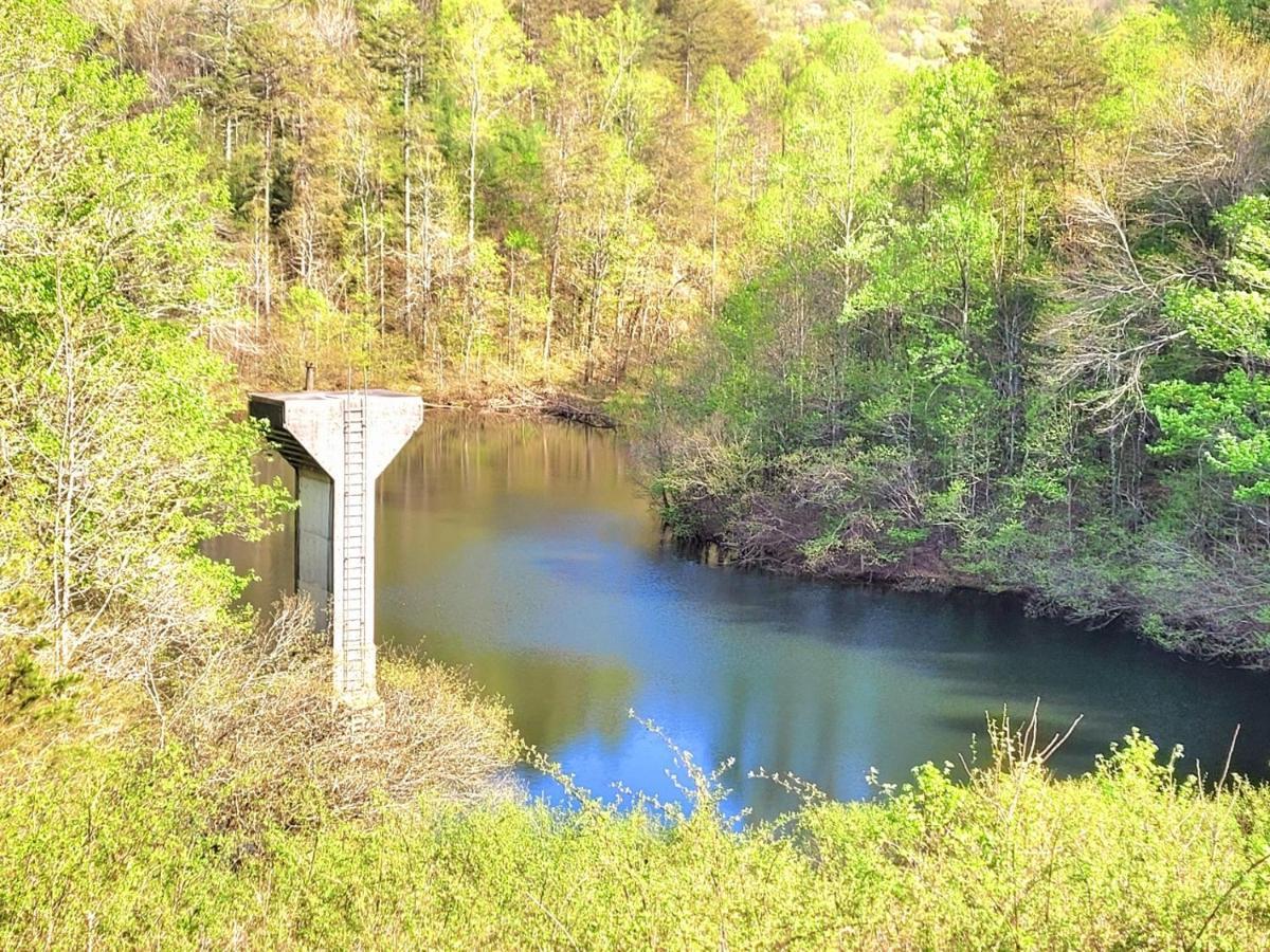 Luxury Cabin With Waterview And Privacy, Hiking Blue Ridge Esterno foto