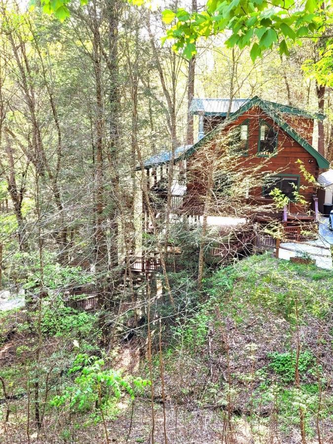 Luxury Cabin With Waterview And Privacy, Hiking Blue Ridge Esterno foto